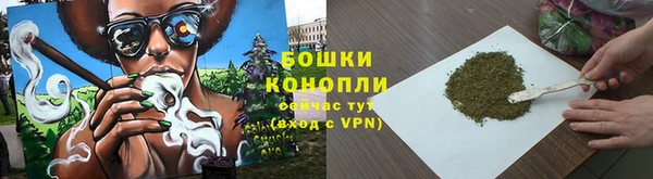 крисы Зерноград