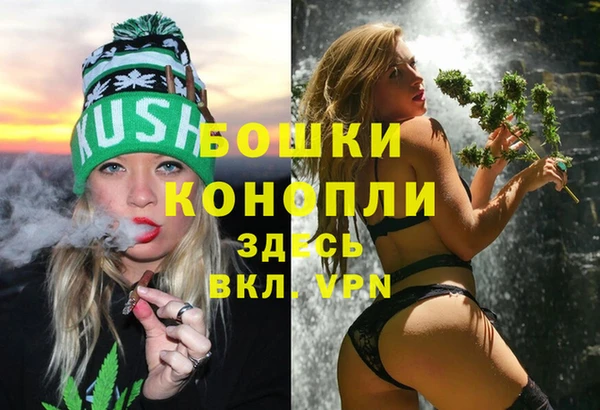 крисы Зерноград
