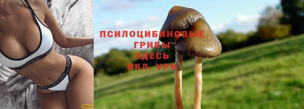 прущая мука Зеленодольск