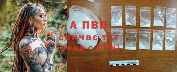 spice Покровск