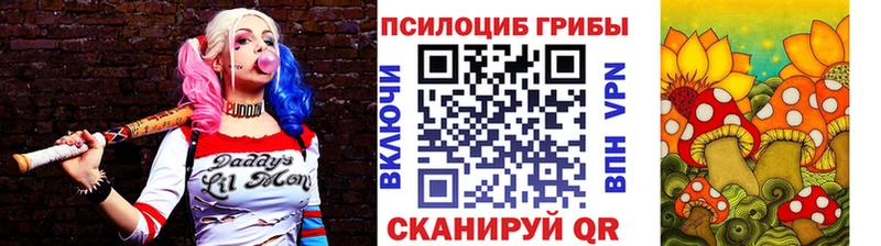 Псилоцибиновые грибы прущие грибы  Стрежевой 