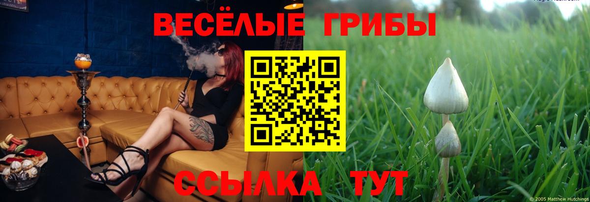 Псилоцибиновые грибы GOLDEN TEACHER Стрежевой